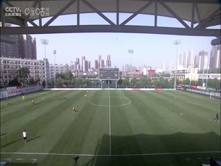 午夜成熟视频在线观看